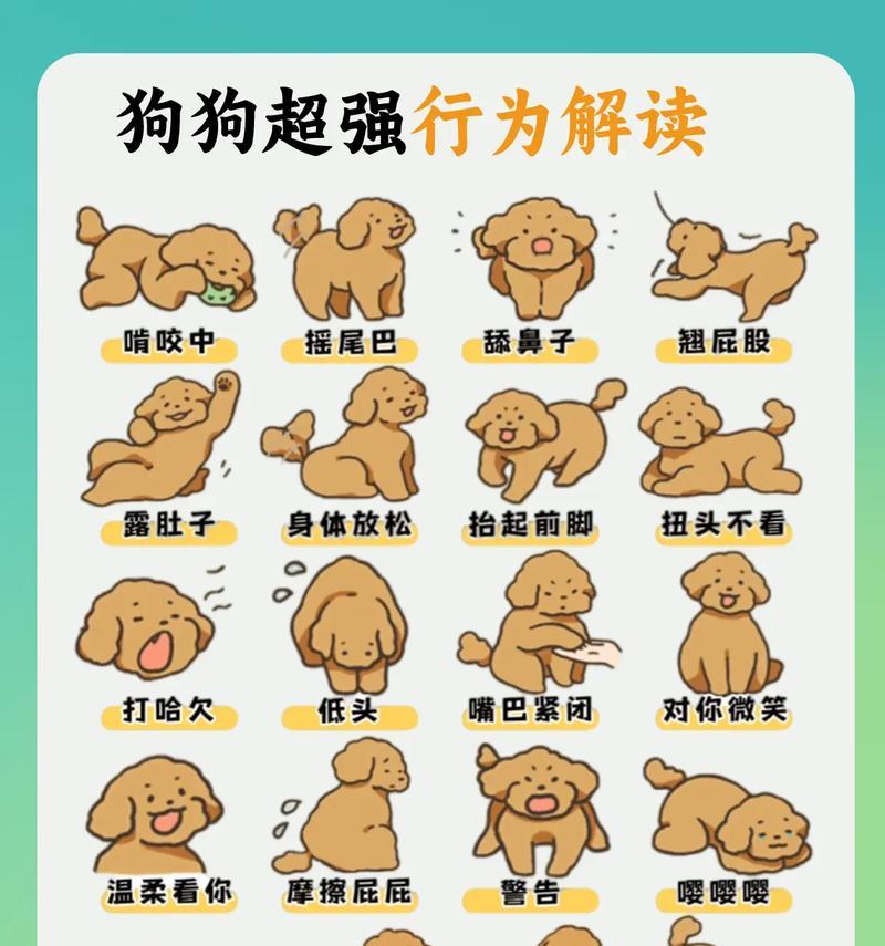 如何判断狗狗是否生病（狗狗的4种生病表现与解读）