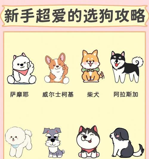 比熊幼犬饲养指南（从幼儿园到大学，让你的比熊幼犬茁壮成长）