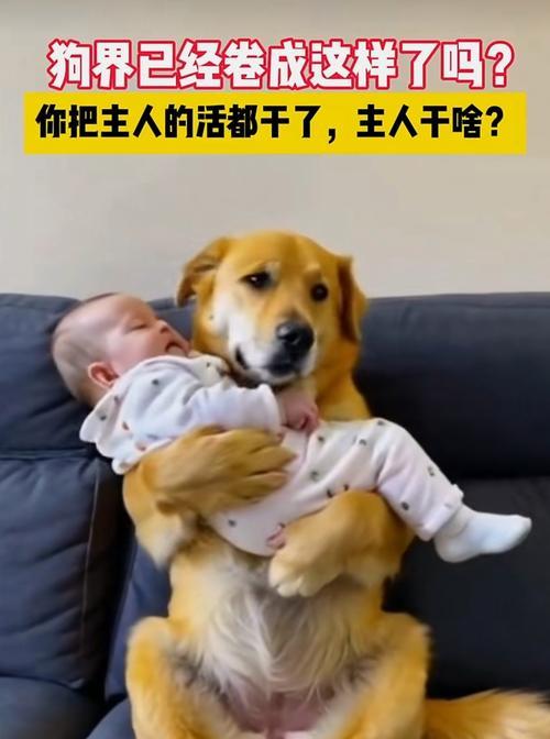 揭秘狗狗的味觉奥秘（狗狗的味觉功能是如何发挥作用的）