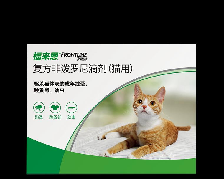 探寻猫咪福来恩的神秘之旅（发现猫咪福来恩的魅力与奥秘）