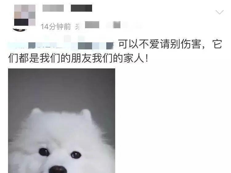 狗为何会吃自己的幼崽（探究动物行为中的自毁现象）