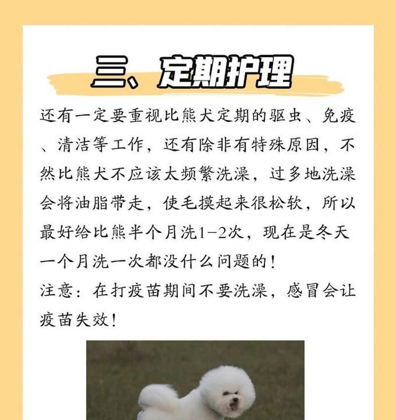 《关于三个月比熊幼犬的护理与注意事项》（三个月幼犬的成长发育、健康饮食和适度运动）