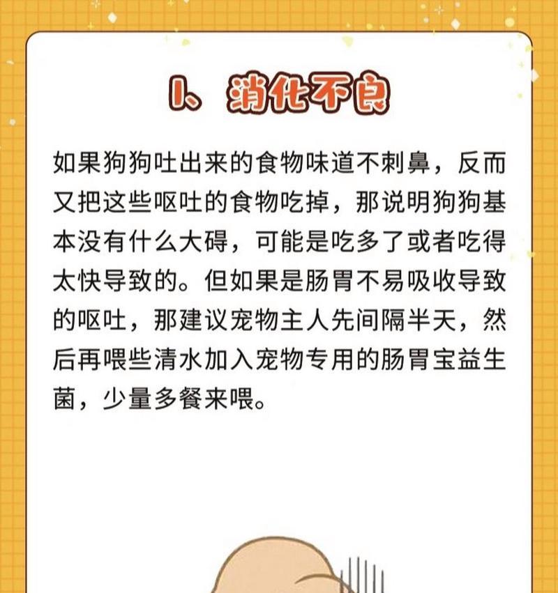 狗狗吐的原因及预防方法（探索狗狗吐的常见原因，以及如何预防这一现象）