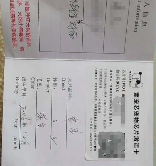 沈阳养狗需办证事项解析（沈阳养狗证办理详细流程及要求）