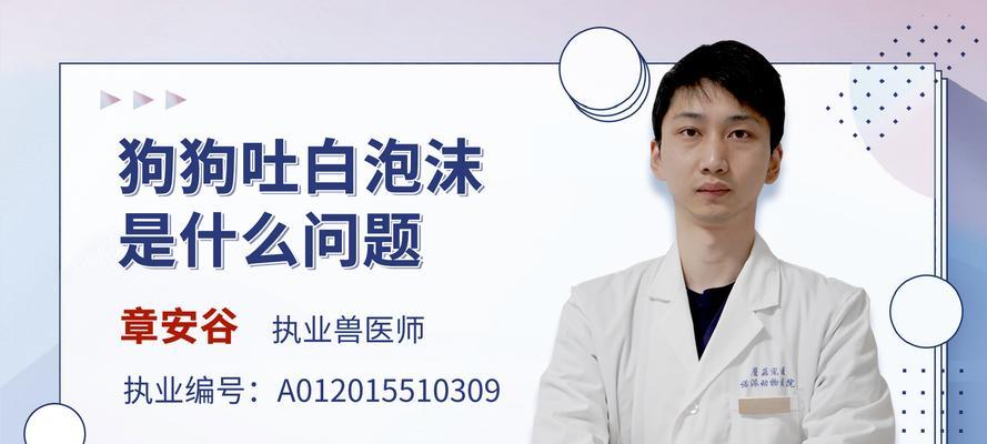 狗狗吐了注射药物后的状况及处理方法（药物注射后狗狗吐出来该怎么办？应该注意什么？）