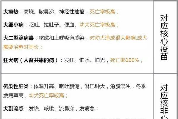 狗狗疫苗为什么需要打四针？（全面保护你的爱宠健康）