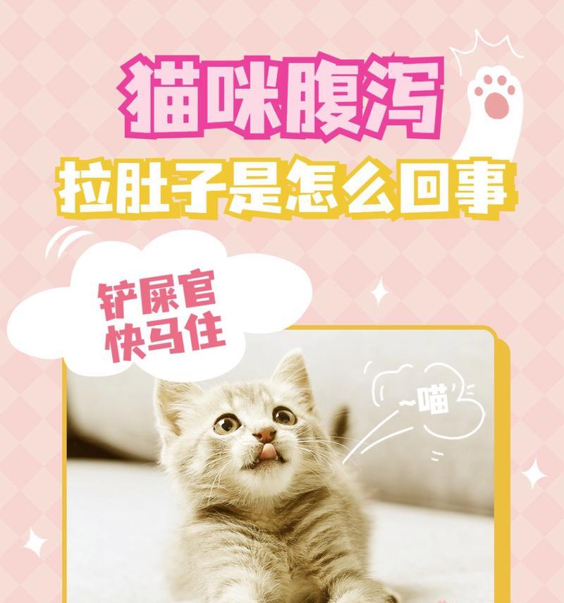 小猫拉肚子的原因及应对方法（了解小猫拉肚子的常见原因，保护它的肠道健康）