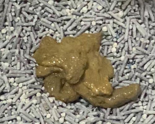 软便难排出的原因及解决方法（分析软便难以排出的原因，提供解决方法，让您远离排便困扰）