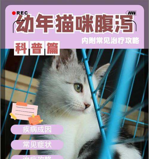 猫拉肚子怎么办？（为你的猫提供适宜的饮食和治疗方案）