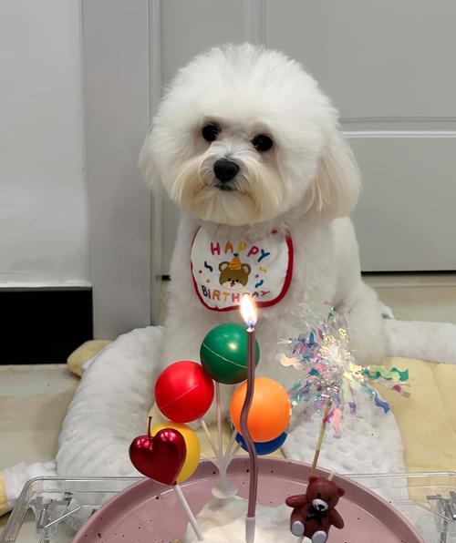 幼犬健康成长的补充需求（了解幼犬所需的营养和保健品）
