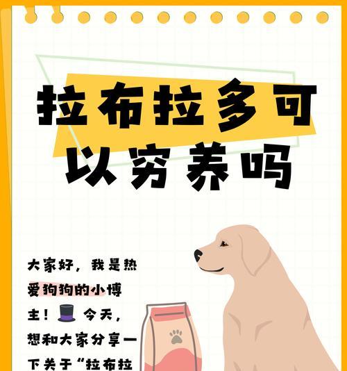 40天拉布拉多的饮食指南（为您的狗狗制定健康饮食计划的关键要素）