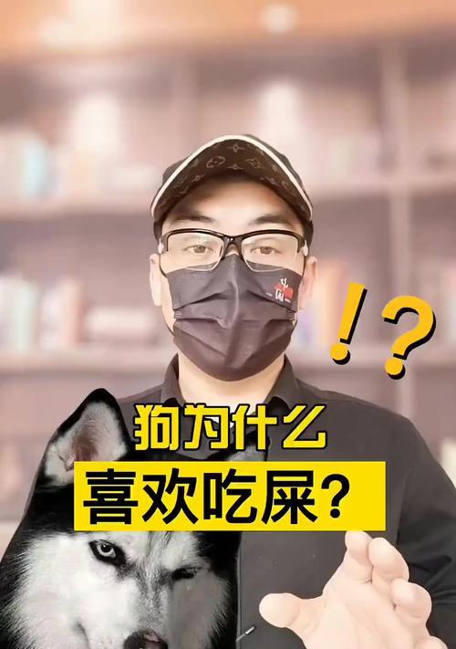 小狗的禁食之物——令它们无法承受的危险食品（警惕这些食物，守护我们的小狗伙伴们健康与安全）