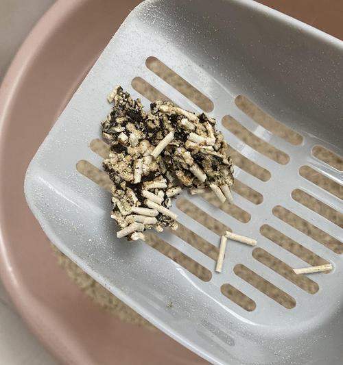 猫大便的形态和健康指标（探索猫大便的规律和异常表现，以及对猫健康的重要意义）