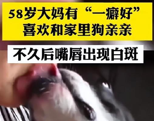 狗爱舔人，是一种什么样的行为？（探究狗舔人的原因和意义）