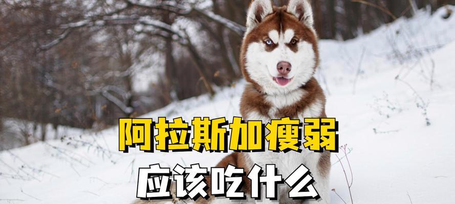 探索小阿拉斯加的饮食文化（品味极北之地的美食盛宴）