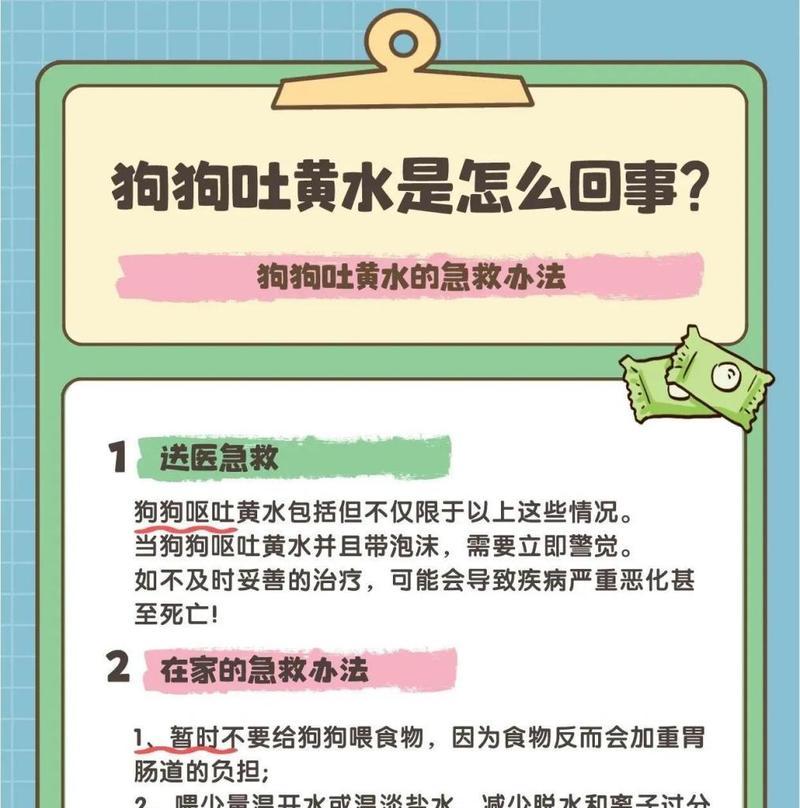小狗吐了虫子，深入了解寄生虫的危害（探讨寄生虫对小狗健康的影响及防治方法）