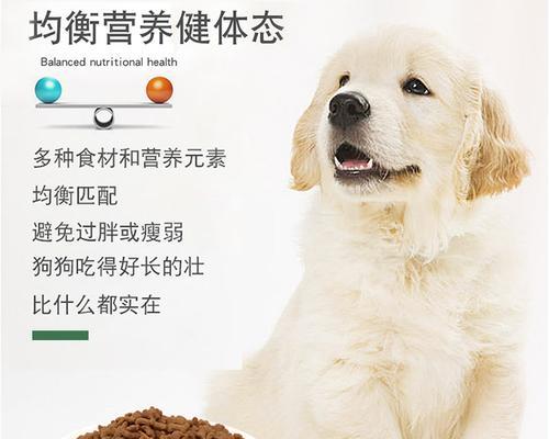 如何选择适合大型幼犬金毛的狗粮？（为你的金毛宝宝提供最佳营养）