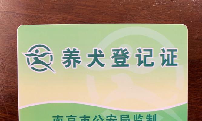 养狗手续一览（了解狗的相关手续，给你的爱宠一个合法身份）