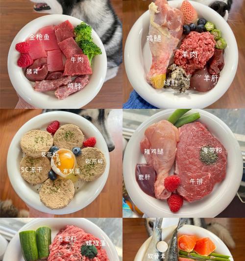 母狗怀孕期间的饮食指南（为你的宠物提供适当营养，帮助母狗健康怀孕）
