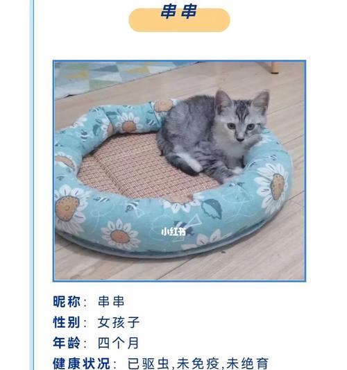 探究小狗四个月不喝水的原因（了解四个月小狗饮水问题的重要性及解决方法）