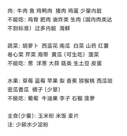 如何合理安排狗的饮食时间（科学喂养，宠物健康）