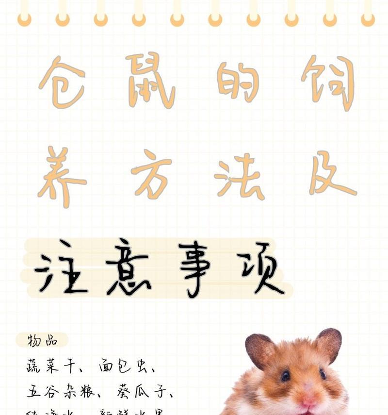 从喜欢养仓鼠看出人的性格特点（透过与仓鼠的互动，揭示个人性格倾向）