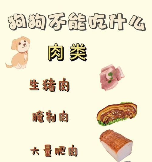 小狗何时可以以食为主？（了解小狗生长阶段中饮食转变的重要性）