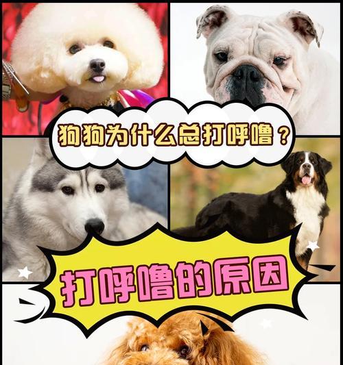 小狗打架时为何会小便？（了解小狗打架时的尿液反应）