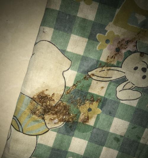 萨摩耶呕吐问题解析（了解以萨摩耶呕吐的原因、症状及应对方法）