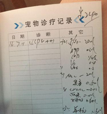 细小前期药物治疗探讨（细小前期药物选择的关键因素及作用机制）