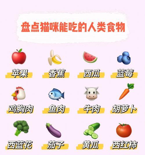 两个月大小猫的饮食需求（科学喂养小猫，关键是什么？）