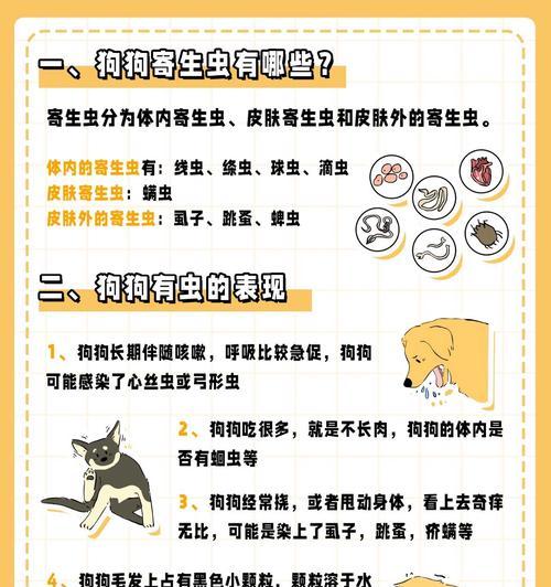 如何正确处理狗狗有虫拉什么便问题（教你正确对待狗狗肠道寄生虫感染问题）