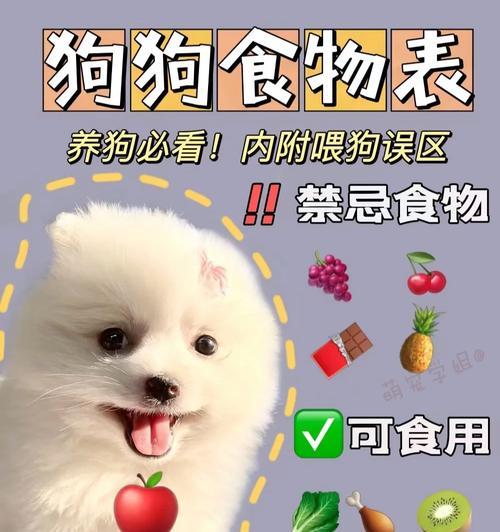 狗狗的饮食禁忌剖析（以王中申读的观点探讨狗狗的安全饮食）