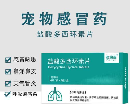 犬瘟热腹泻的药物治疗方案（有效缓解犬瘟热腹泻的药物及使用方法）