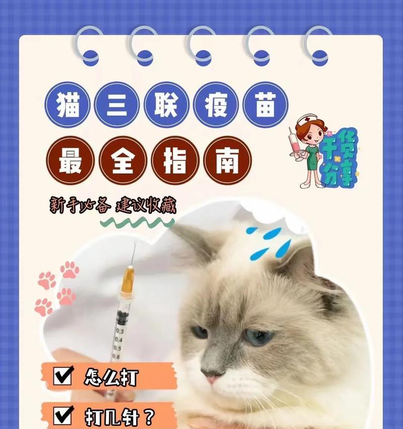 猫咪疫苗接种后需要观察的反应（保护猫咪健康，关注疫苗接种的重要性）