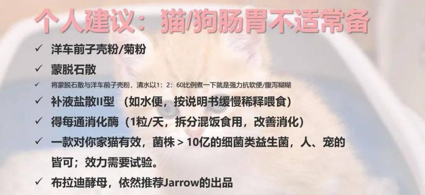 狗狗的益生菌补充时间究竟在何时？（解析益生菌对狗狗的补益和最佳补充时间）