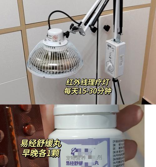 幼犬肠胃痉挛及药物治疗方法（了解幼犬肠胃痉挛的症状和治疗药物，保护宝贝的健康）