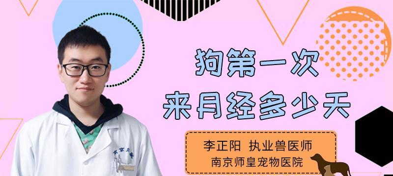 狗狗不来月经的原因及解决方法（探究狗狗不来月经的可能原因以及如何处理）