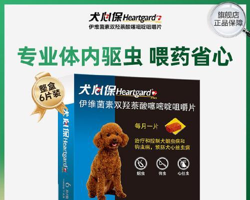 选择适合狗狗的体外驱虫方式，保护它们的健康（狗狗体外驱虫的必要性与可选方法）