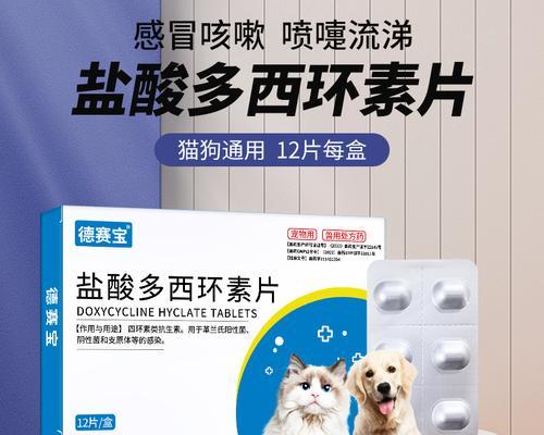 宠物狗咳嗽的原因和治疗方法（了解狗咳嗽的种类及食疗药物）