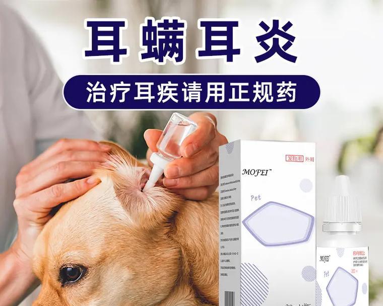 如何选择最有效的狗耳药品（探索为狗提供最佳耳部护理的药物选择）
