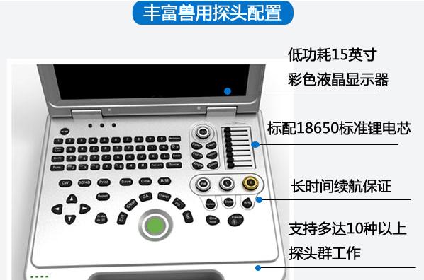 揭秘Vet（探索兽医学领域中的Vet职业及其重要性）