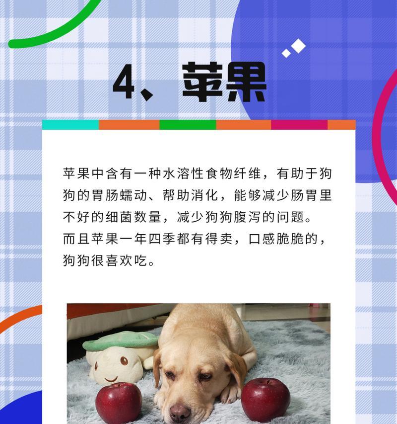 如何通过饮食帮助狗狗长个子（探索狗狗成长过程中的营养需求，为你的爱宠提供科学的饮食）