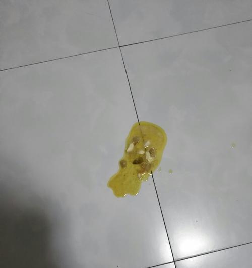 探索以萨摩耶吐了的原因及处理方法（解析以萨摩耶犬的呕吐现象，科学护理你的毛孩）