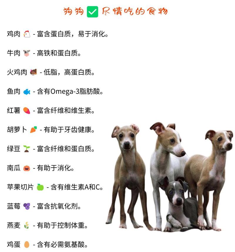 幼犬饮食指南（为幼犬提供营养均衡的蔬菜饮食，）