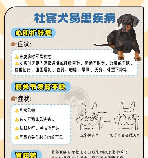 裁耳适合杜宾犬吗？（探讨杜宾犬裁耳手术的优缺点及适用条件）