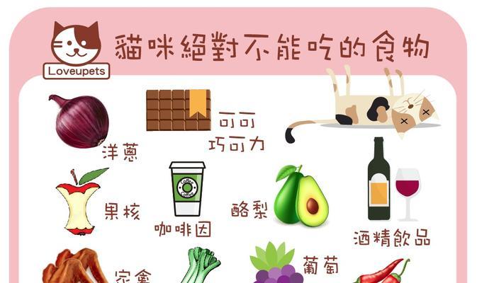 猫不吃东西的好处（探索猫咪禁食的健康益处）