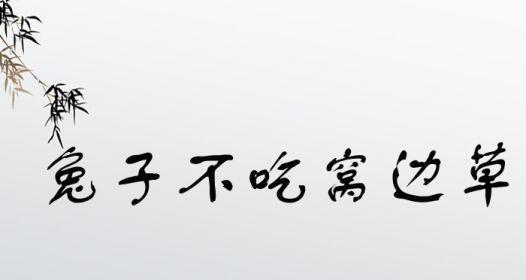 兔子不吃草的原因及影响（探究兔子素食习性的原因与后果）