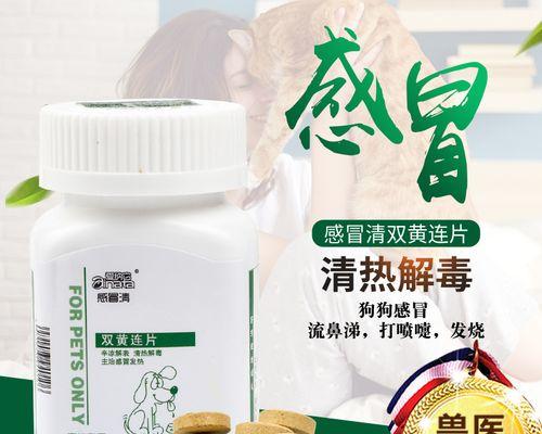 狗狗被撞后应该吃什么药？（治疗被撞狗狗的药物选择及注意事项）