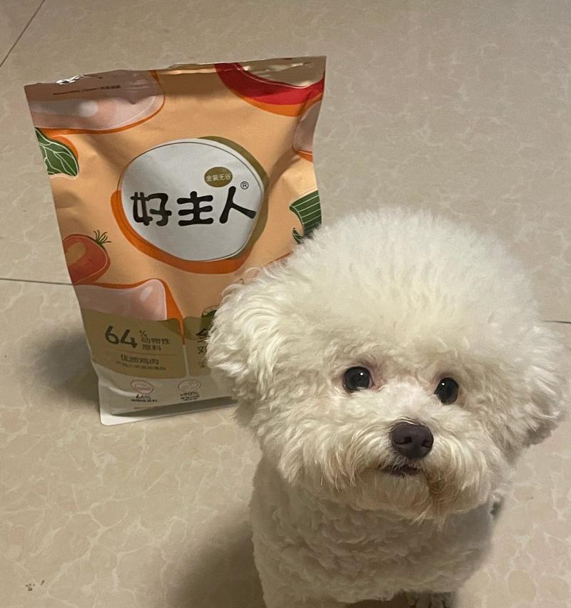 选择比熊犬的理想名字（以比熊犬为主题，如何选择一个合适的名字）